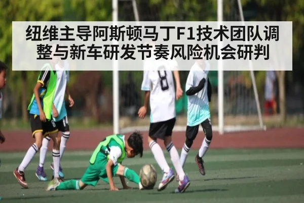 纽维主导阿斯顿马丁F1技术团队调整与新车研发节奏风险机会研判